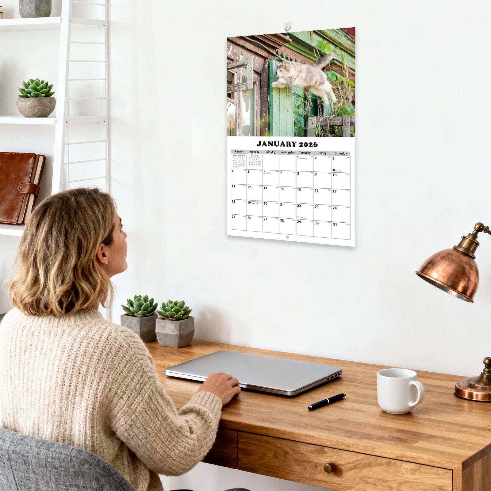 English Home Office - 2026 Englischer Katzen-Wandkalender, 13 Monate Planung,