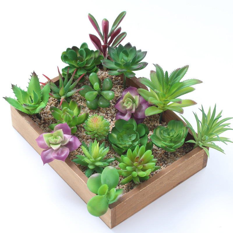 2021 künstliche Sukkulenten Pf – Plant Desk Mini Bewertung und Preis