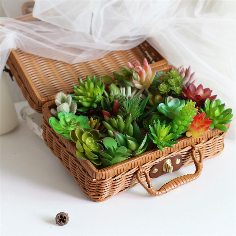 2021 künstliche Sukkulenten Pf – Plant Desk Mini Bewertung und Preis