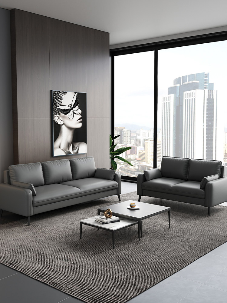Moderne Luxus-Wohnmöbel aus Ho – Home Office Sofa Bewertung und Preis