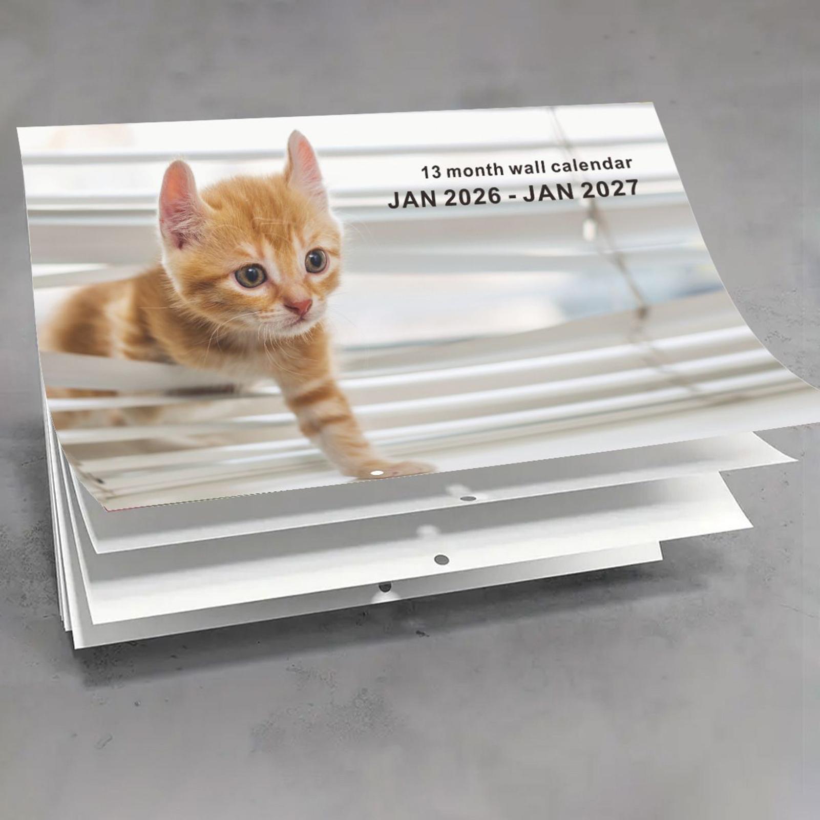 2026 Englischer Katzen-Wandkal – English Home Office Bewertung und Preis