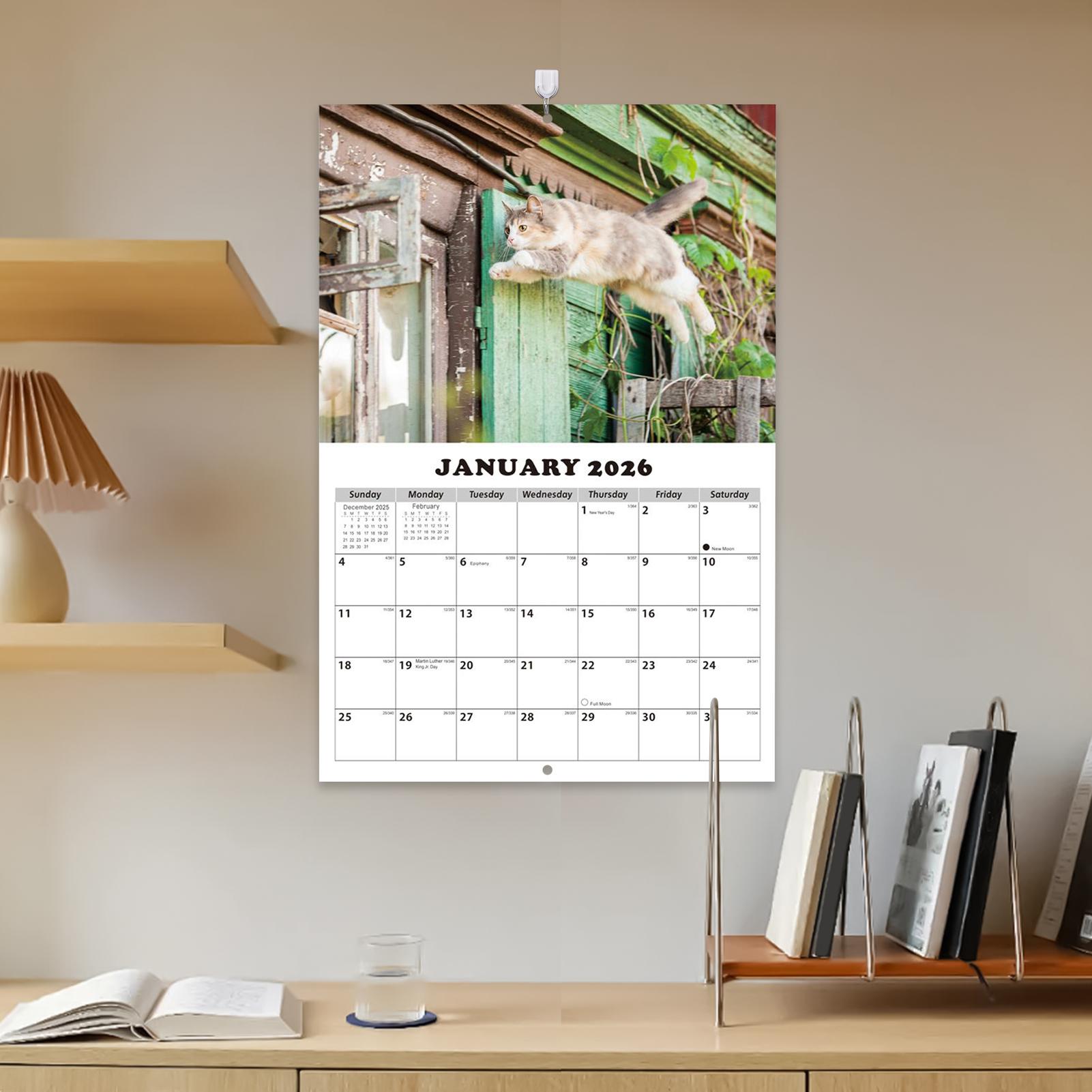 2026 Englischer Katzen-Wandkal – English Home Office Bewertung und Preis