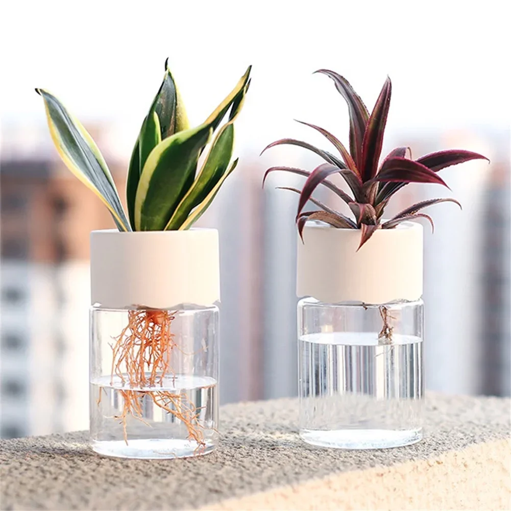 Mini Hydroponischer Blumentopf – Plant Desk Mini Bewertung und Preis