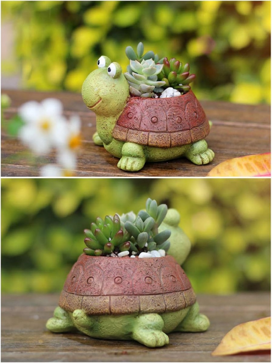 Niedliche Schildkröte Pflanzer – Plant Desk Mini Bewertung und Preis