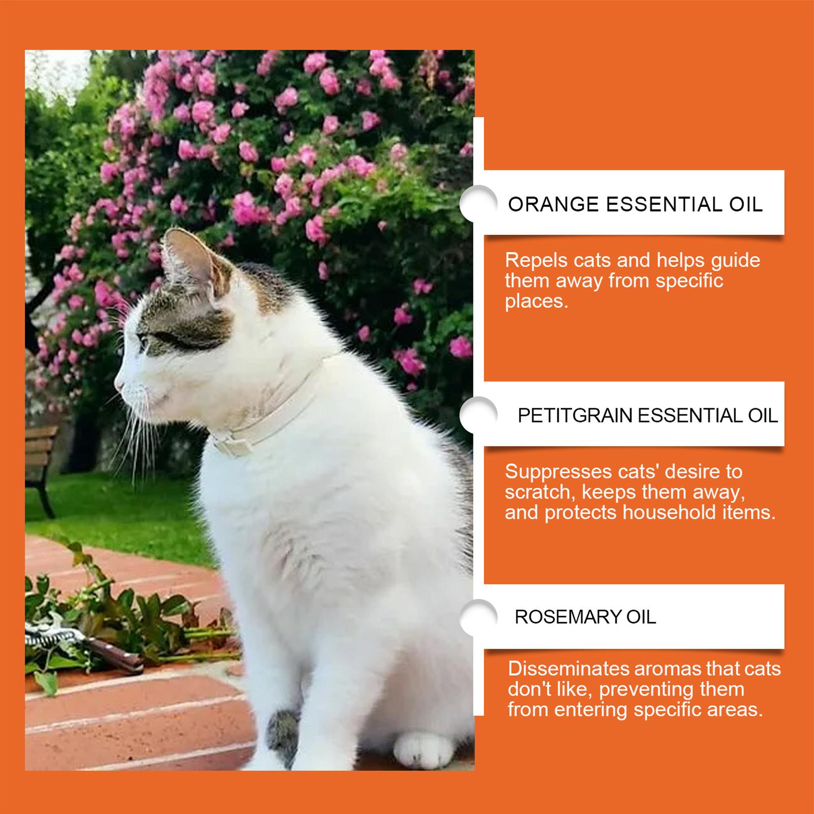 Katzenkratzschutzspray: Verhin – Home Office Sofa Bewertung und Preis
