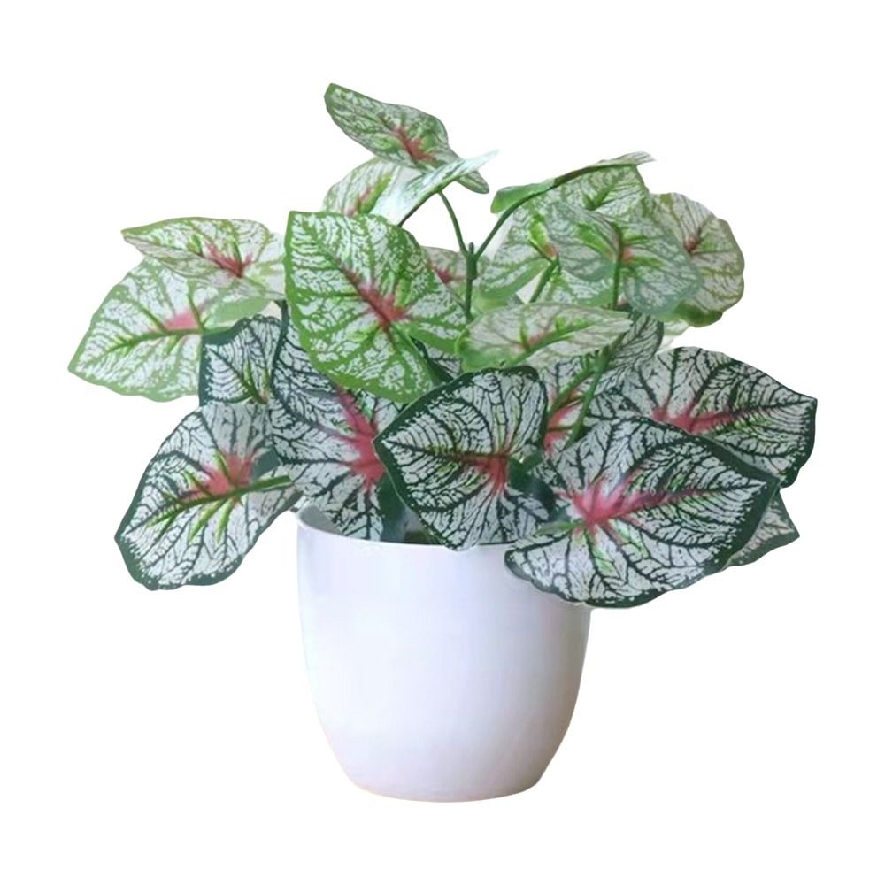 Mini Künstliche Topfpflanzen B – Plant Desk Mini Bewertung und Preis