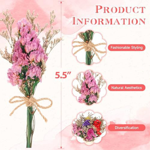 Mini Trockenblumenstrauß Natür – Plant Desk Mini Bewertung und Preis